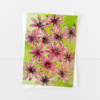 Pink Daisies Greeting Card
