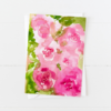 Pretty Pink Roses Greeting Card