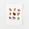 Colorful Fall Leaves Greeting Card