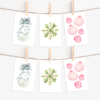 Watercolor holiday Christmas Card set with pointed flap envelopes
