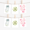 Watercolor holiday Christmas Card set with pointed flap envelopes