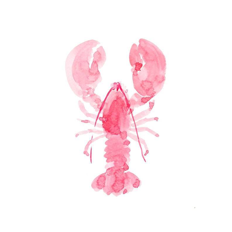 Pink Lobster Watercolor from A Little Hello Co.