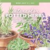 Watercolor Workshop: Potted Herbs