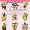 Paint & Doodle House Plants